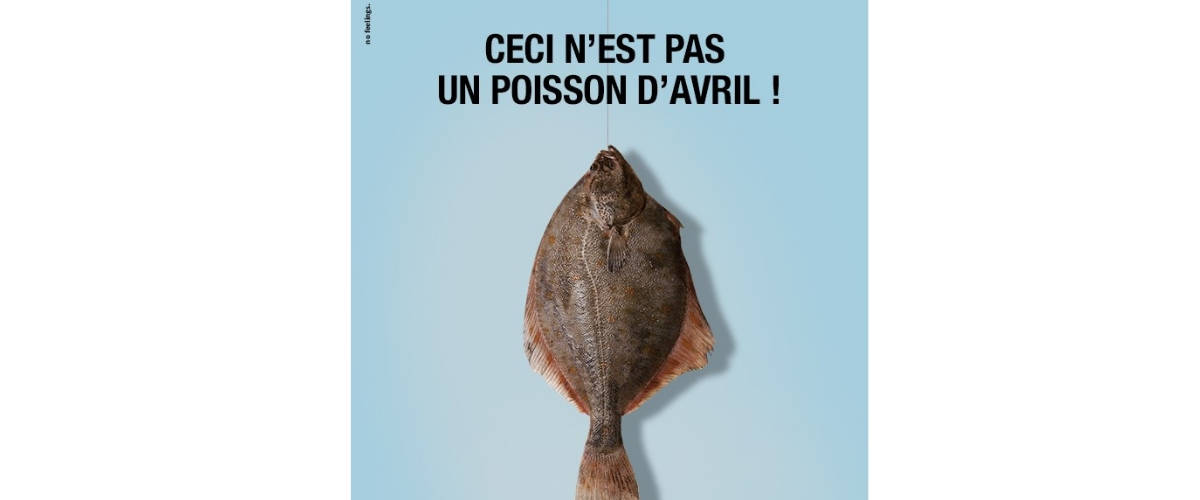 PromerOcean se joue du poisson d'avril PromerOcean se joue du poisson d'avril