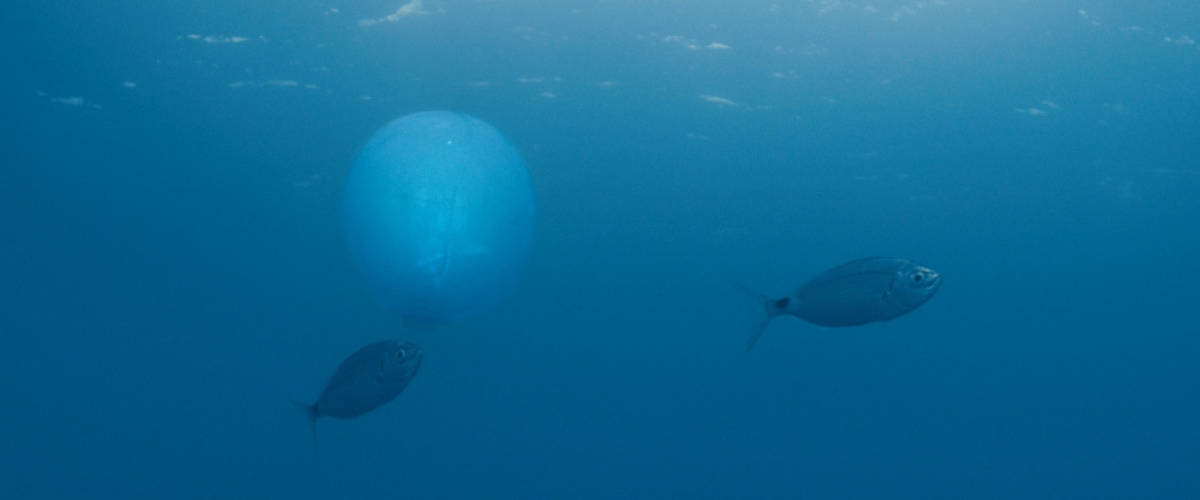 Sea Shepherd lance l’opération Sound of Sea Balise SOS en mer