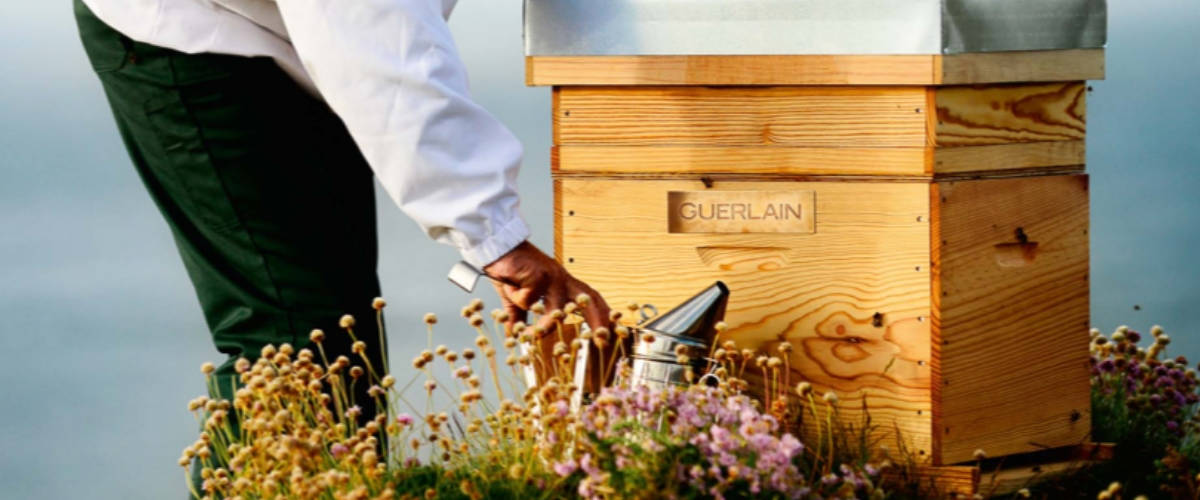 Guerlain dévoile BEE RESPECT, la plateforme de transparence et de traçabilité de ses créations Apiculteur Guerlain