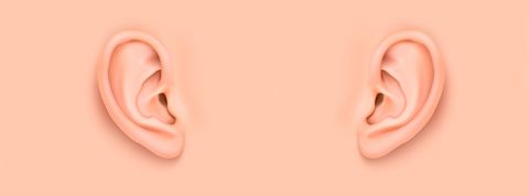 oreilles vectorisées beiges