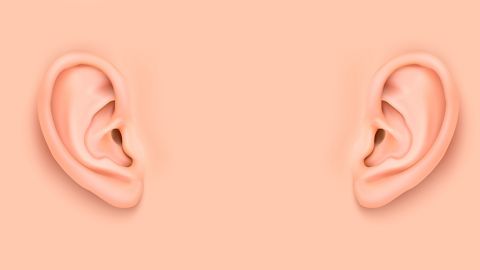 oreilles vectorisées beiges