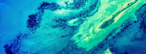 Oeuvre d'art réalisée avec des liquides comme le lait, l'eau et l'huile