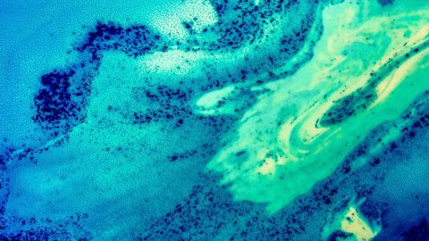 Oeuvre d'art réalisée avec des liquides comme le lait, l'eau et l'huile