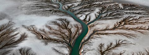 Edward Burtynsky, le Yann Arthus-Bertrand de la fin du monde image d'une rivière en forme d'arbre