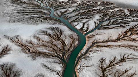 image d'une rivière en forme d'arbre