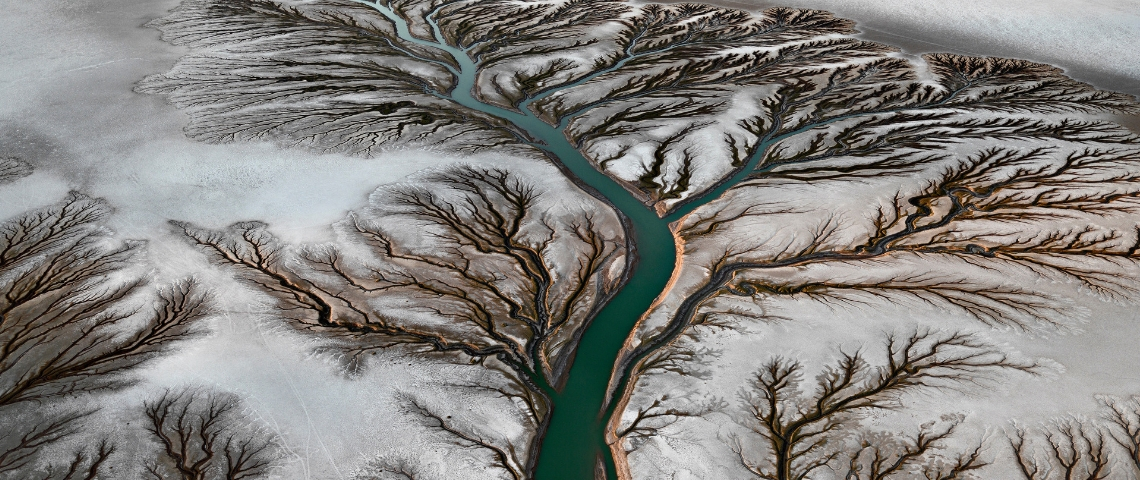 Edward Burtynsky, le Yann Arthus-Bertrand de la fin du monde image d'une rivière en forme d'arbre