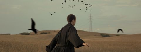 Festival Circulation(s) : ces 8 photographes qui nous ont le plus bluffés une personne court avec des oiseaux dans un champ