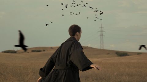 une personne court avec des oiseaux dans un champ