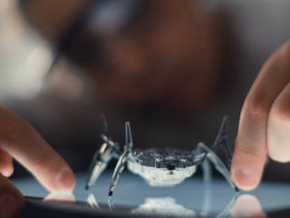 Et si on étudiait les robots comme on observe les animaux ?