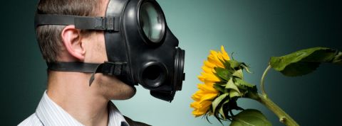 Pourquoi la RSE pose problème Un homme avec un masque à gaz en train de respirer un tournesol