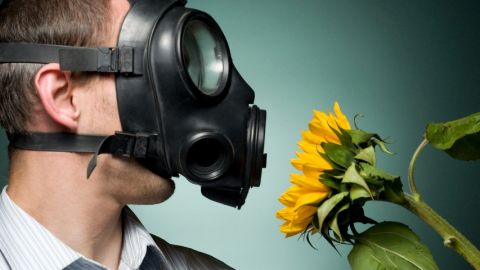 Un homme avec un masque à gaz en train de respirer un tournesol