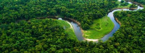 amazon fleuve fleuve et forêt vu du ciel