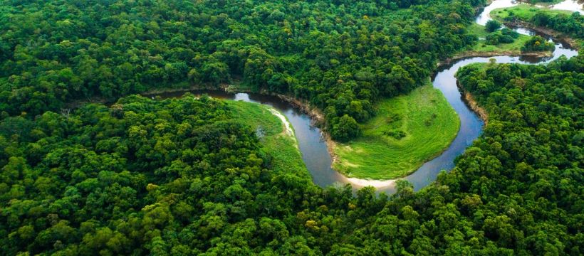 amazon fleuve fleuve et forêt vu du ciel