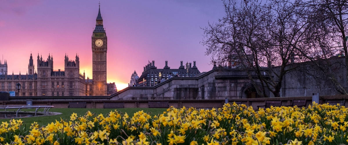 Le parlement britannique déclare l’état d’urgence climatique Parc de tulipes à Londres. La tour BigBen en arrière-plan
