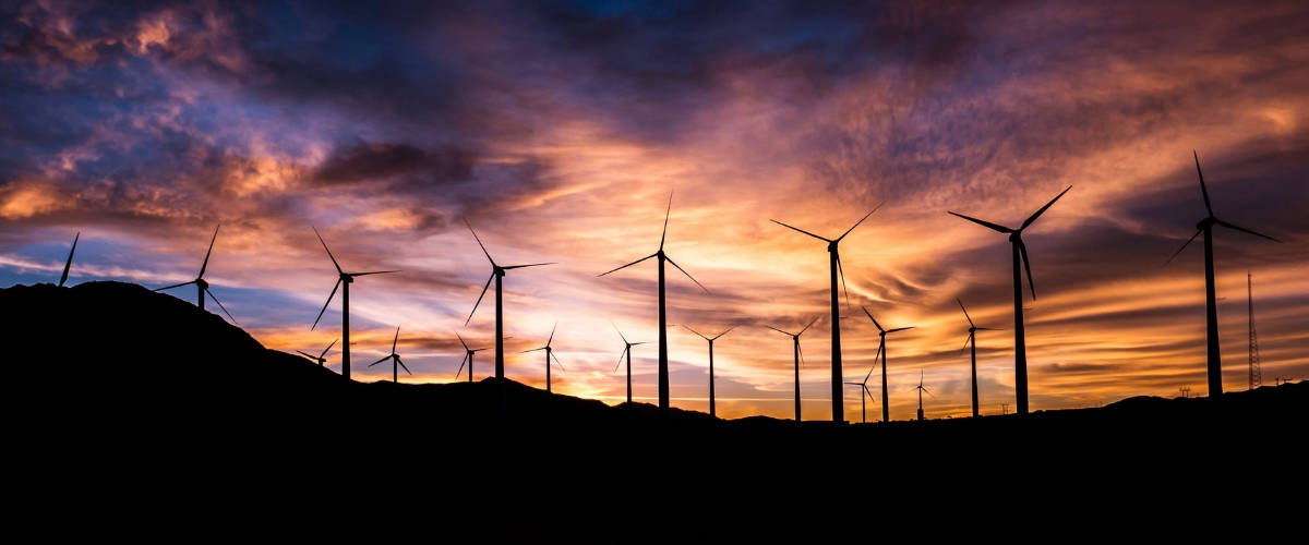 USA : les énergies renouvelables produisent plus d’électricité que le charbon Parc d'éoliennes, au coucher du soleil