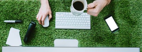 Rendre le numérique vert peut rapporter de l'argent un clavier et une souris d'ordinateur posé dans l'herbe