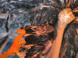 En images, ces photographes sonnent l’alerte quant à l’avenir de notre planète