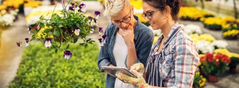 5 trucs faciles à faire pour végétaliser la ville 5 trucs faciles à faire pour végétaliser la ville