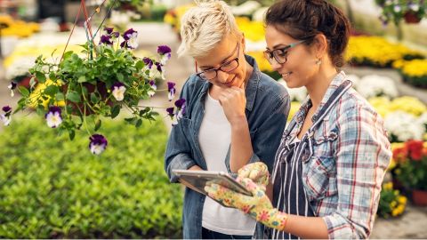 5 trucs faciles à faire pour végétaliser la ville