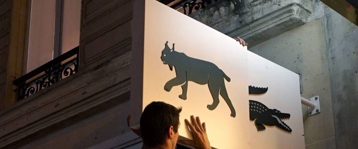 Lacoste renouvelle son opération Save Our Species Installation de l'opération Lacoste