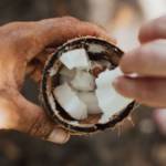 Deux personnes se partagent une noix de coco