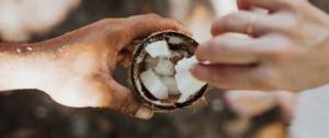 Deux personnes se partagent une noix de coco