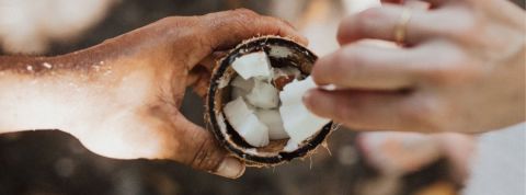 Pour survivre, il va falloir repenser notre économie Deux personnes se partagent une noix de coco