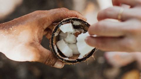 Deux personnes se partagent une noix de coco