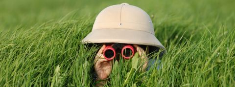 small tech Aventurier caché dans les hautes herbes