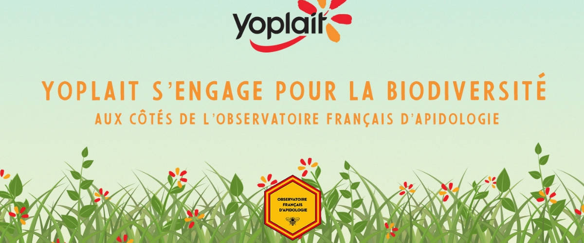 Yoplait plante des fleurs pour sauver les abeilles Visuel Yoplait