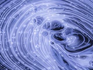 Et si Facebook appartenait à tout le monde ? C'est le pari de l'holochain