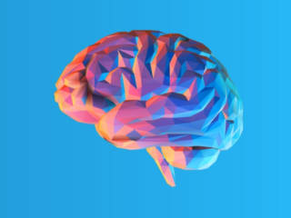 Le manager du futur devra être un neuro-manager