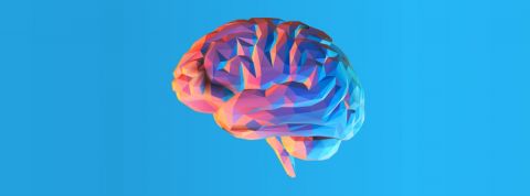 Qui sera le manager du futur ? Un cerveau en origami sur un fond bleu