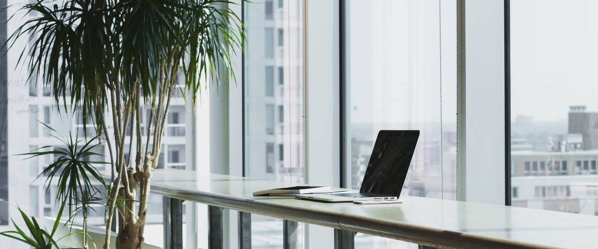 Eco Desko Challenge 2019 Un bureau avec une plante et un ordinateur posé sur une table.
