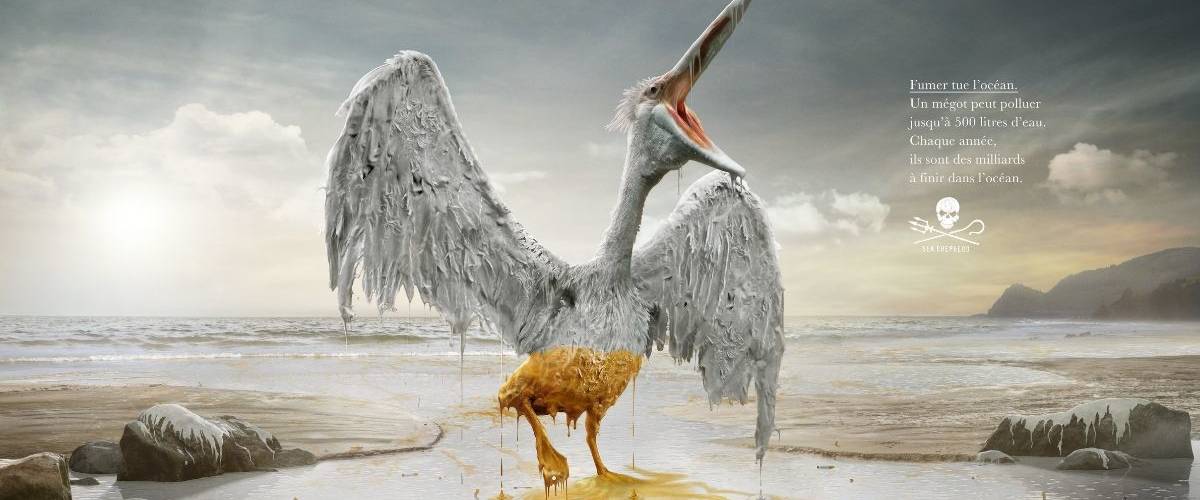 Shea Shepherd dénonce la pollution des eaux par les cigarettes Un oiseau blanc est bloqué par une marée noir