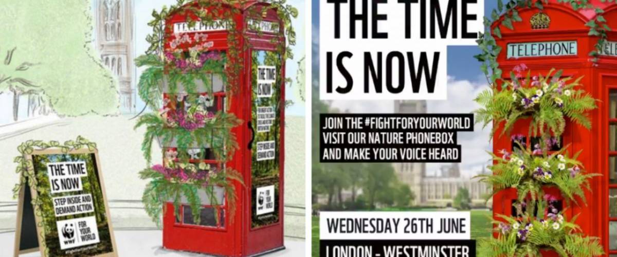UK: WWF lance une cabine téléphonique pour l’environnement Une cabine téléphonique britannique rouge végétalisée