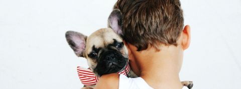 Tendance : animaux de soutien émotionnel Un petit garçon fait un calin à un chiot