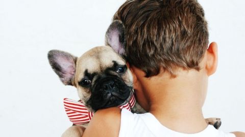Un petit garçon fait un calin à un chiot