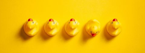 Faut-il vraiment viser la diversité en entreprise ? Une rangée de canards en plastique jaunes