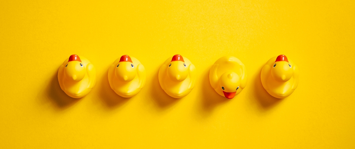 Faut-il vraiment viser la diversité en entreprise ? Une rangée de canards en plastique jaunes