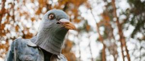 Un humain avec un masque de pigeon en veste