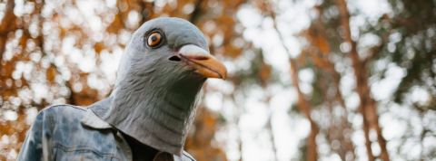 Dark patterns : comment les sites d’e-commerce vous poussent à l'achat Un humain avec un masque de pigeon en veste