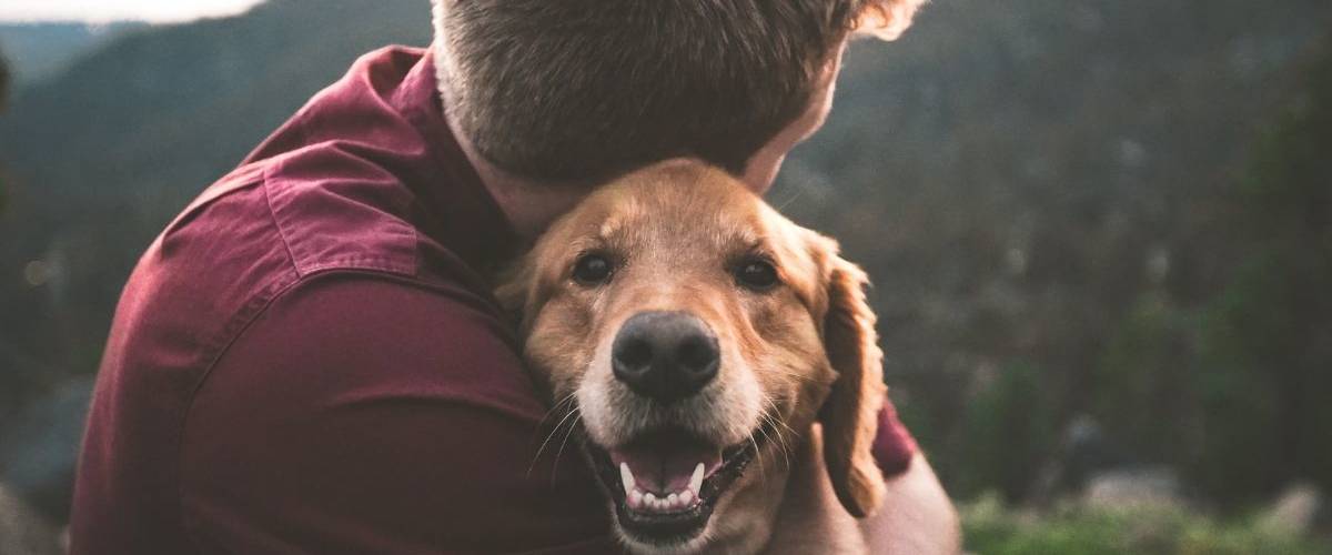 Une start-up chinoise invente un système reconnaissance faciale pour retrouver son chien Un maitre et son chien s'enlace en haut d'une montagne