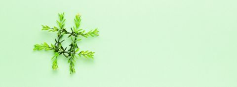 Qui sont les meilleurs directeurs RSE sur Twitter ? Un hashtag formé avec des feuilles