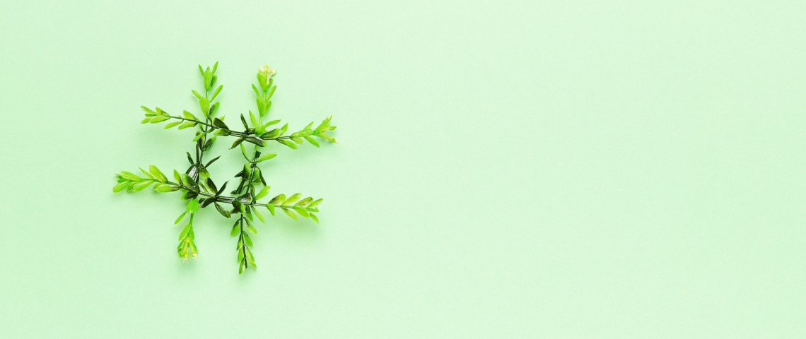 Qui sont les meilleurs directeurs RSE sur Twitter ? Un hashtag formé avec des feuilles
