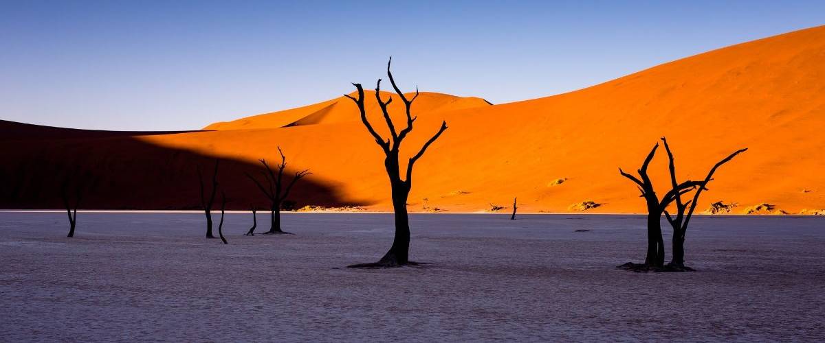 Le dérèglement climatique pourrait faire disparaître 80 millions d’emplois Un désert aride