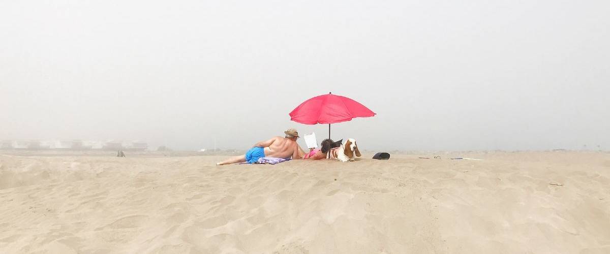 Le concours national JCDecaux remporté par Magali Chesnel Un couple et son chien sont assis sur la plage en regardant la ville
