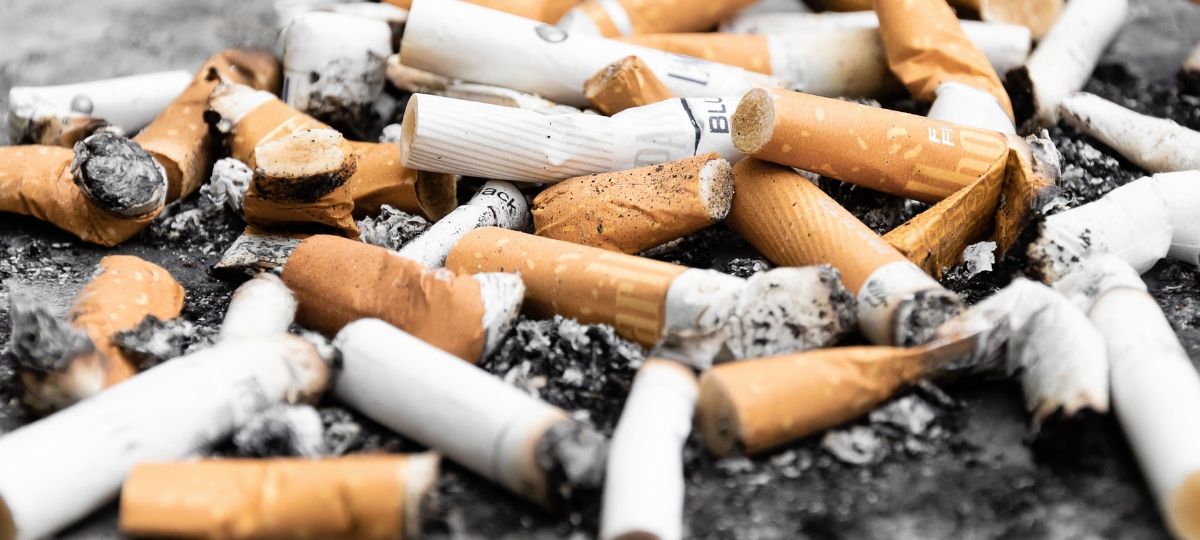 Etude : les mégots de cigarettes empêchent les plantes de pousser