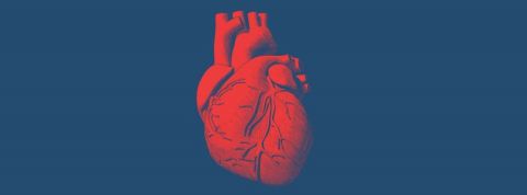 Pourquoi la France est à la traîne en matière de santé connectée ? Un coeur rouge dessiné sur fond bleu