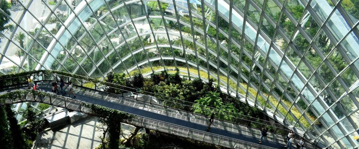 Le Cerema et Efficacity lancent le label Ville Durable et Innovante Une passerelle surplombe des plantes et arbres